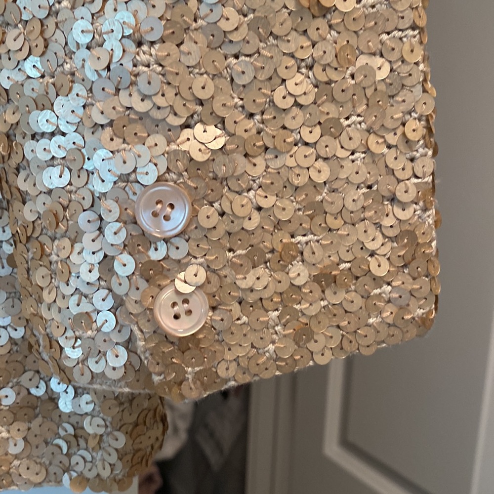 Iisli Sequins Jacket - image 7